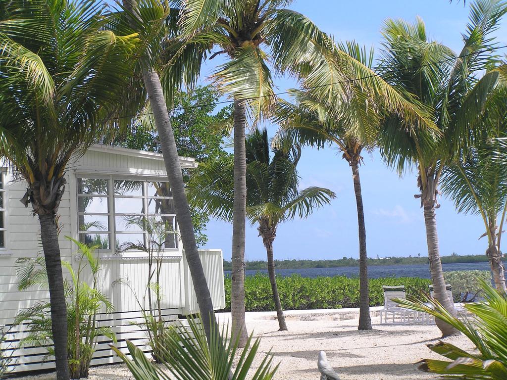 Parmer'S Resort Little Torch Key Ngoại thất bức ảnh